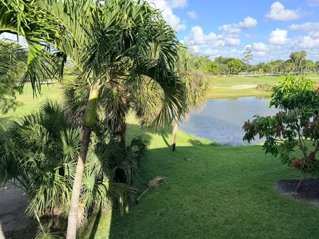 View-from-balcony