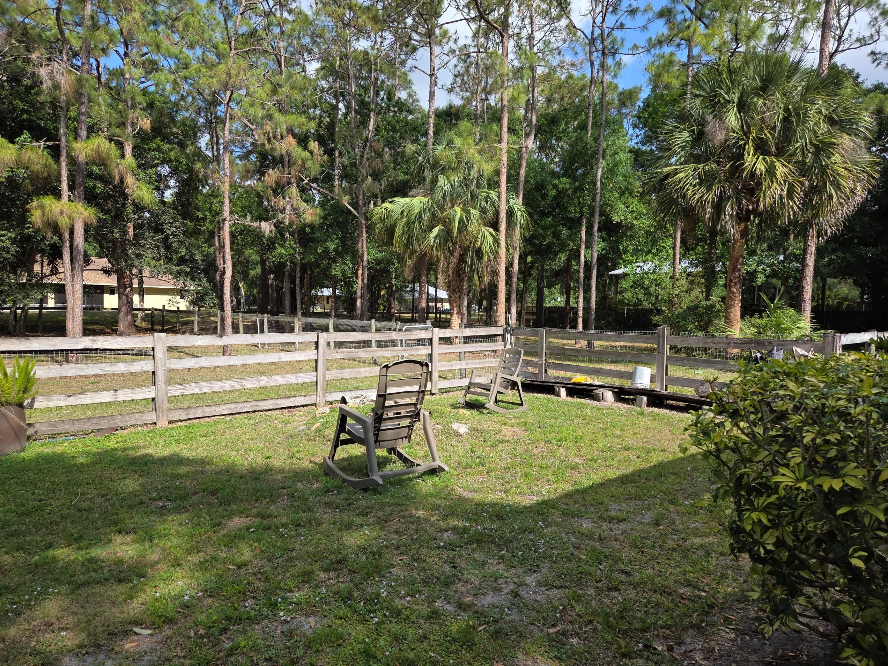 Backyard 2