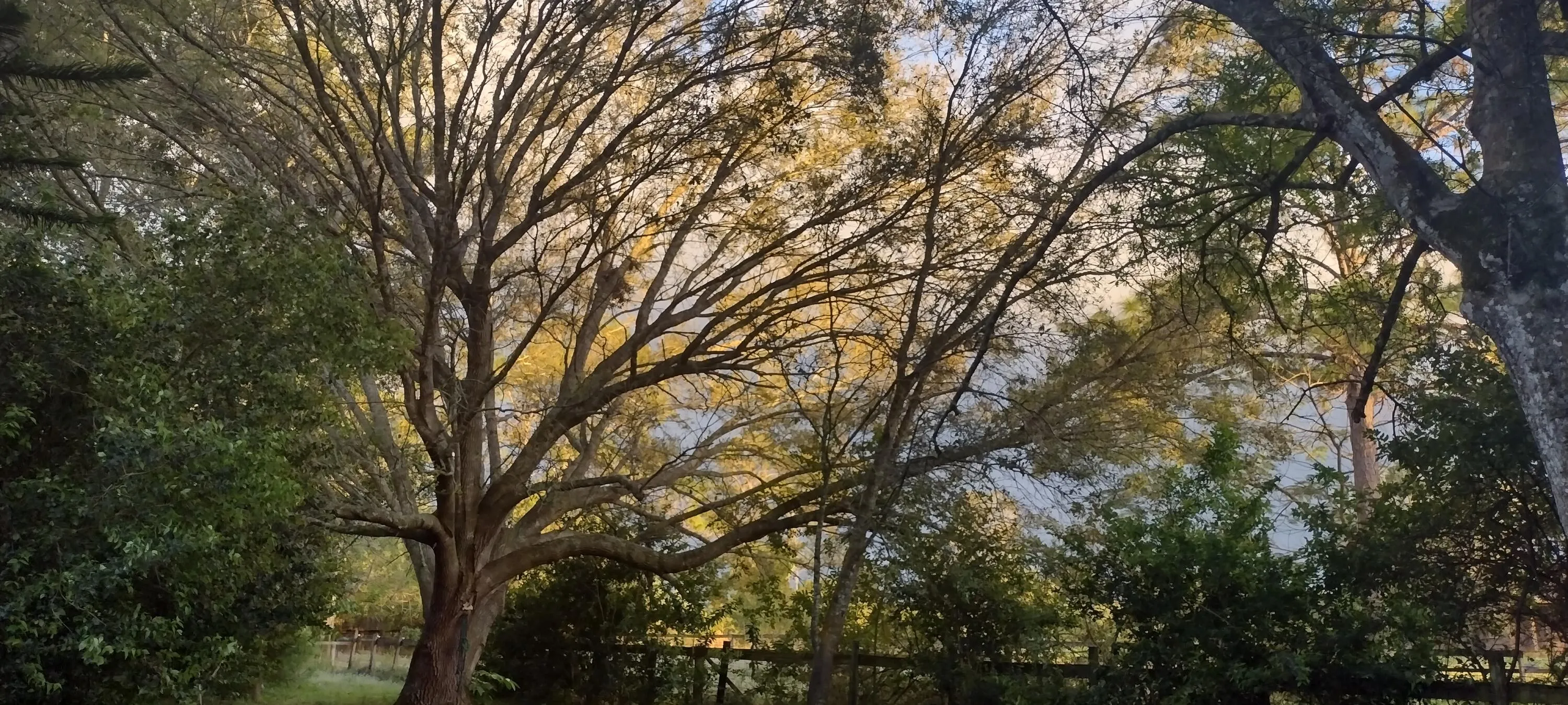 IMG_20240219_174658411_HDR