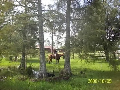IMG_20260430_200941921