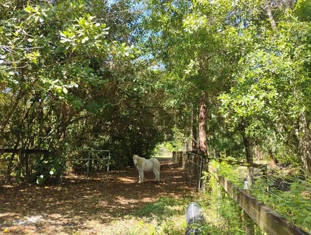 IMG_20221215_121839918_HDR~3