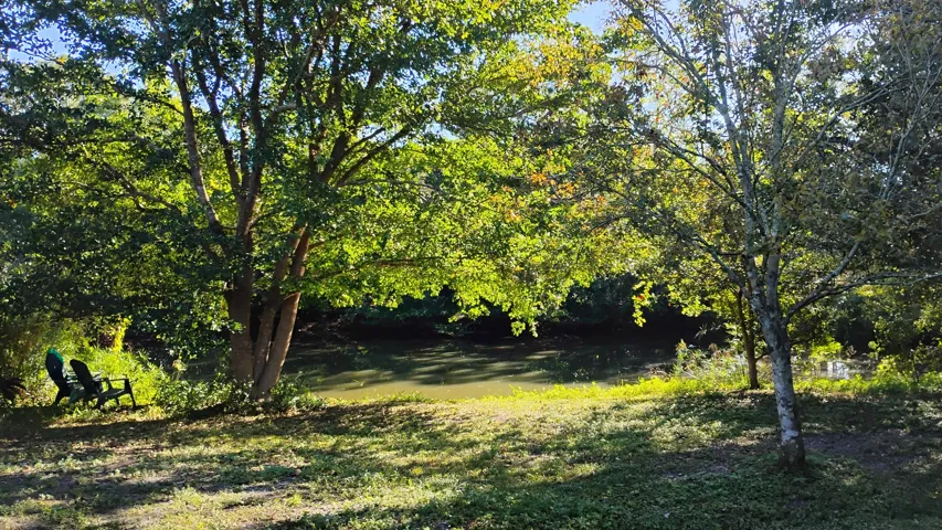 IMG_20260107_094658926_HDR