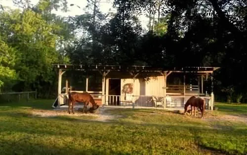 IMG_20240228_175840563_HDR~2