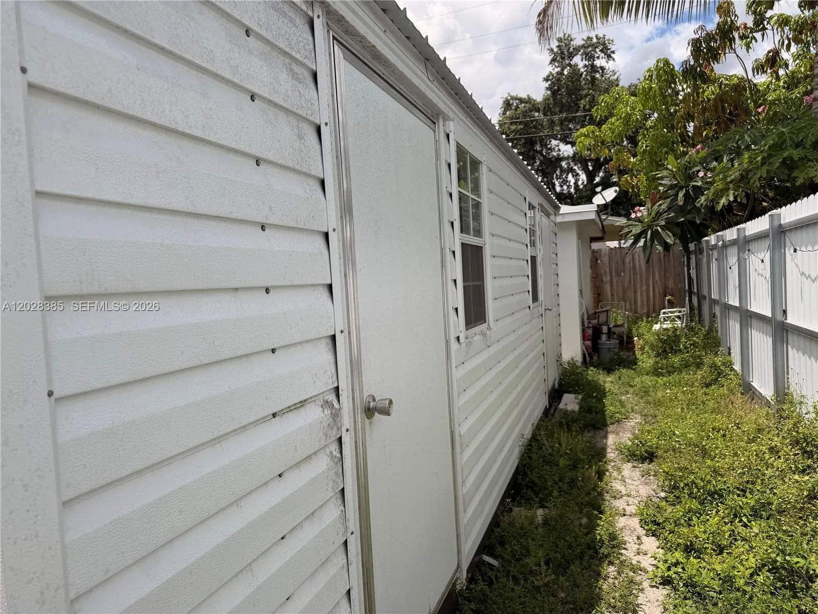 Shed