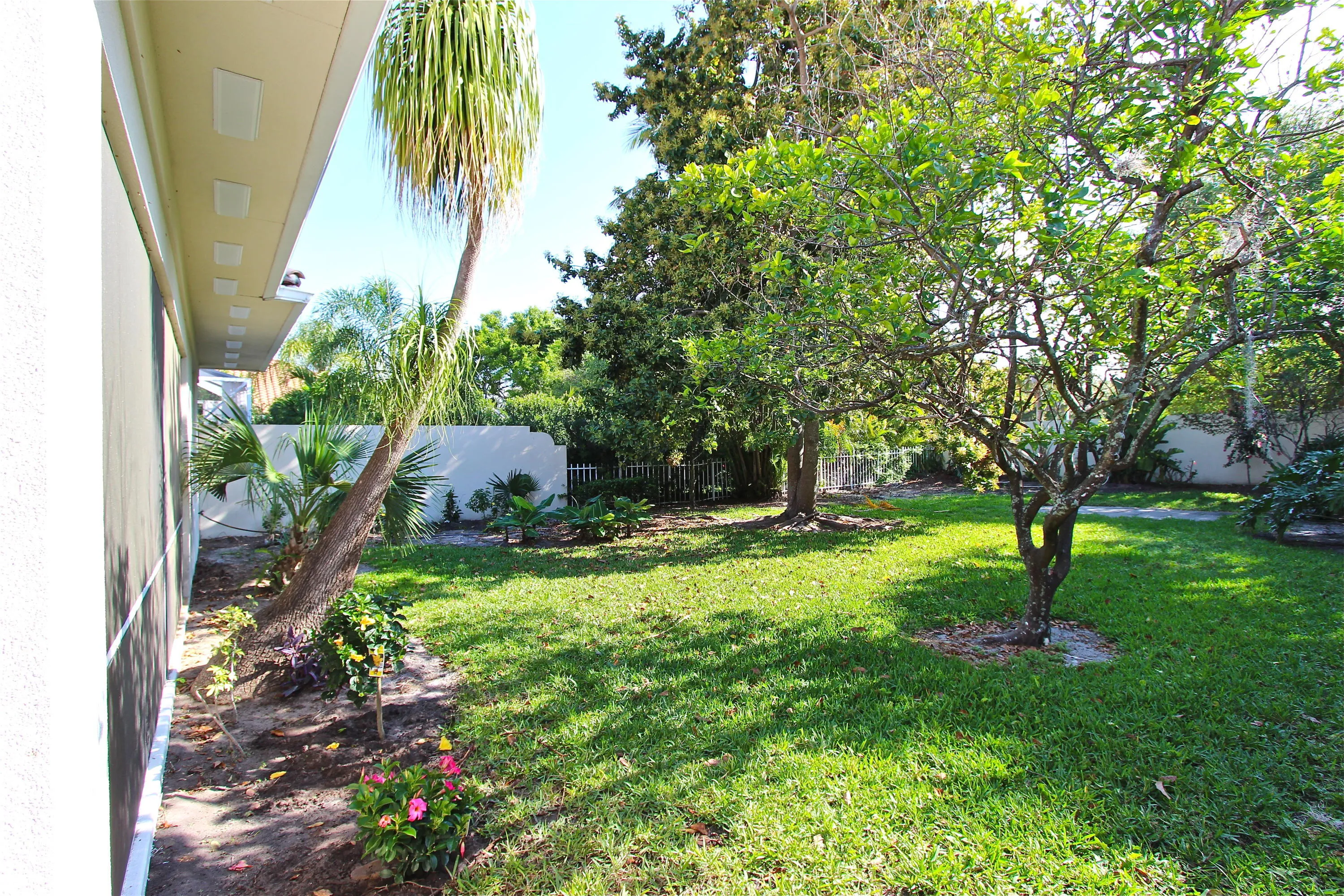LARGE BACKYARD
