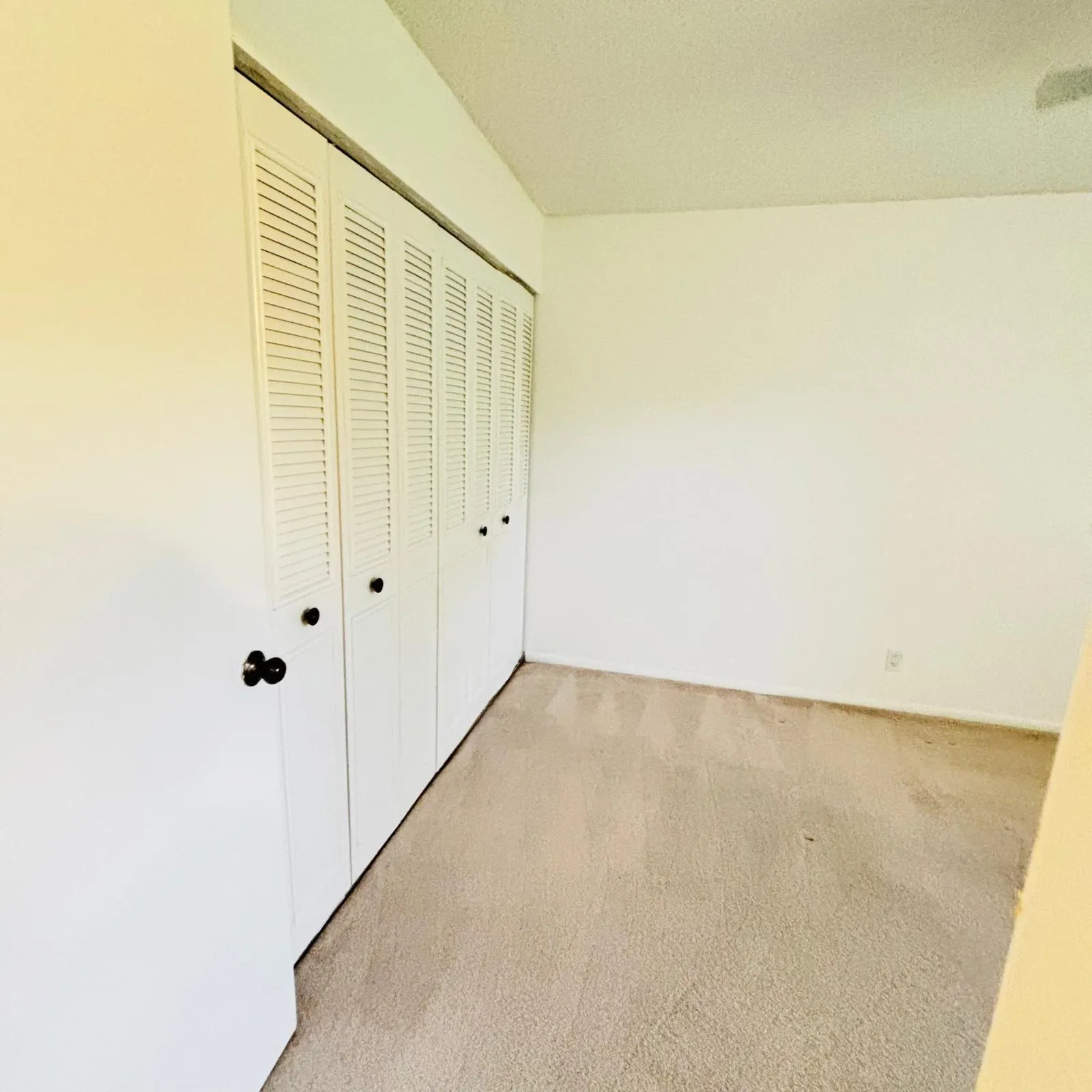 closet bedroom 1