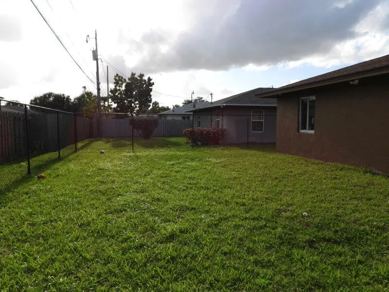 Backyard