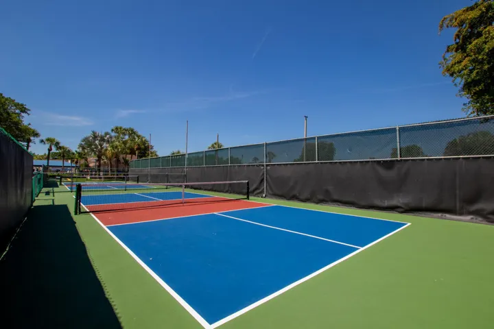 Banyan Springs Pickleball 2