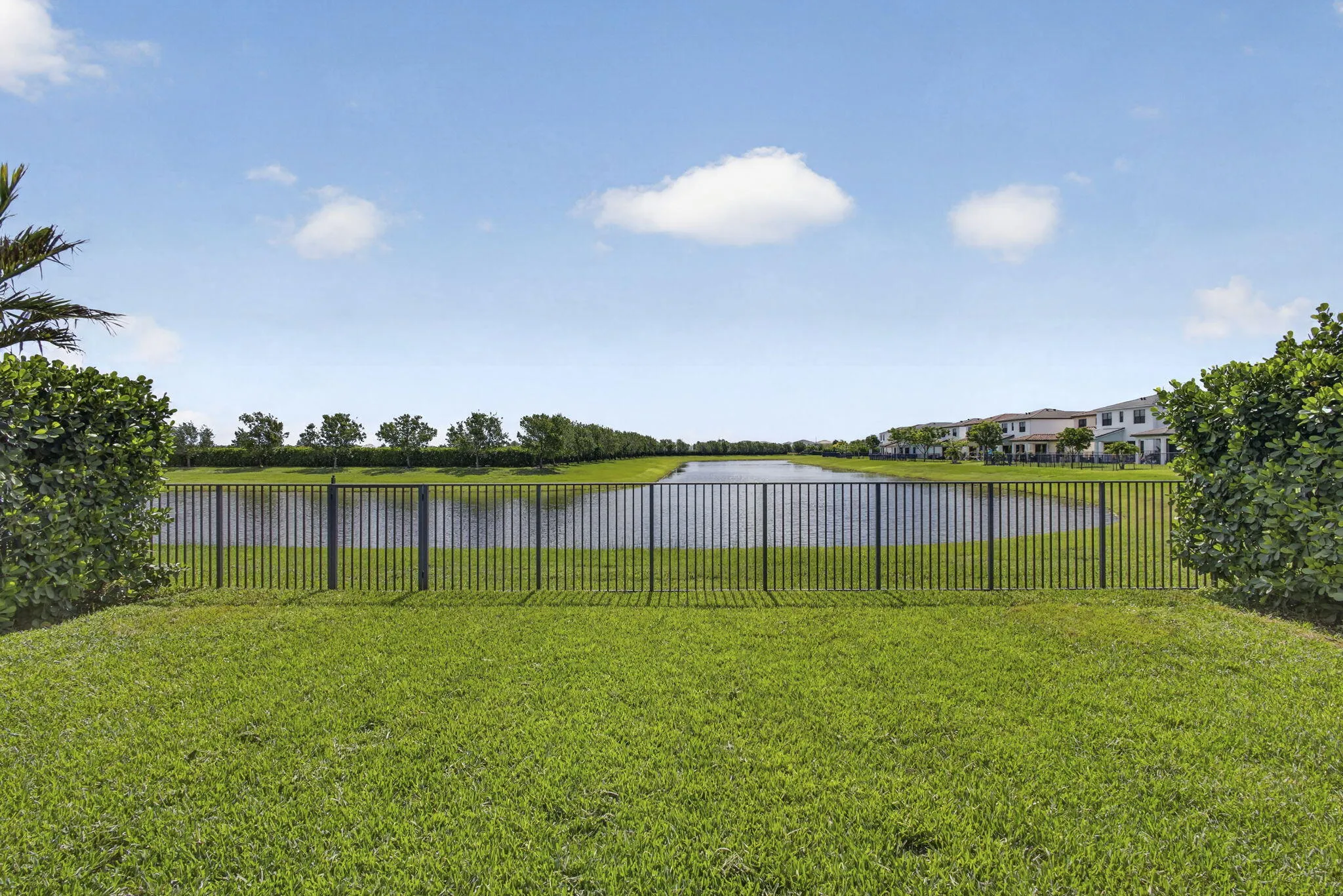 60-web-or-mls-BS1A5987
