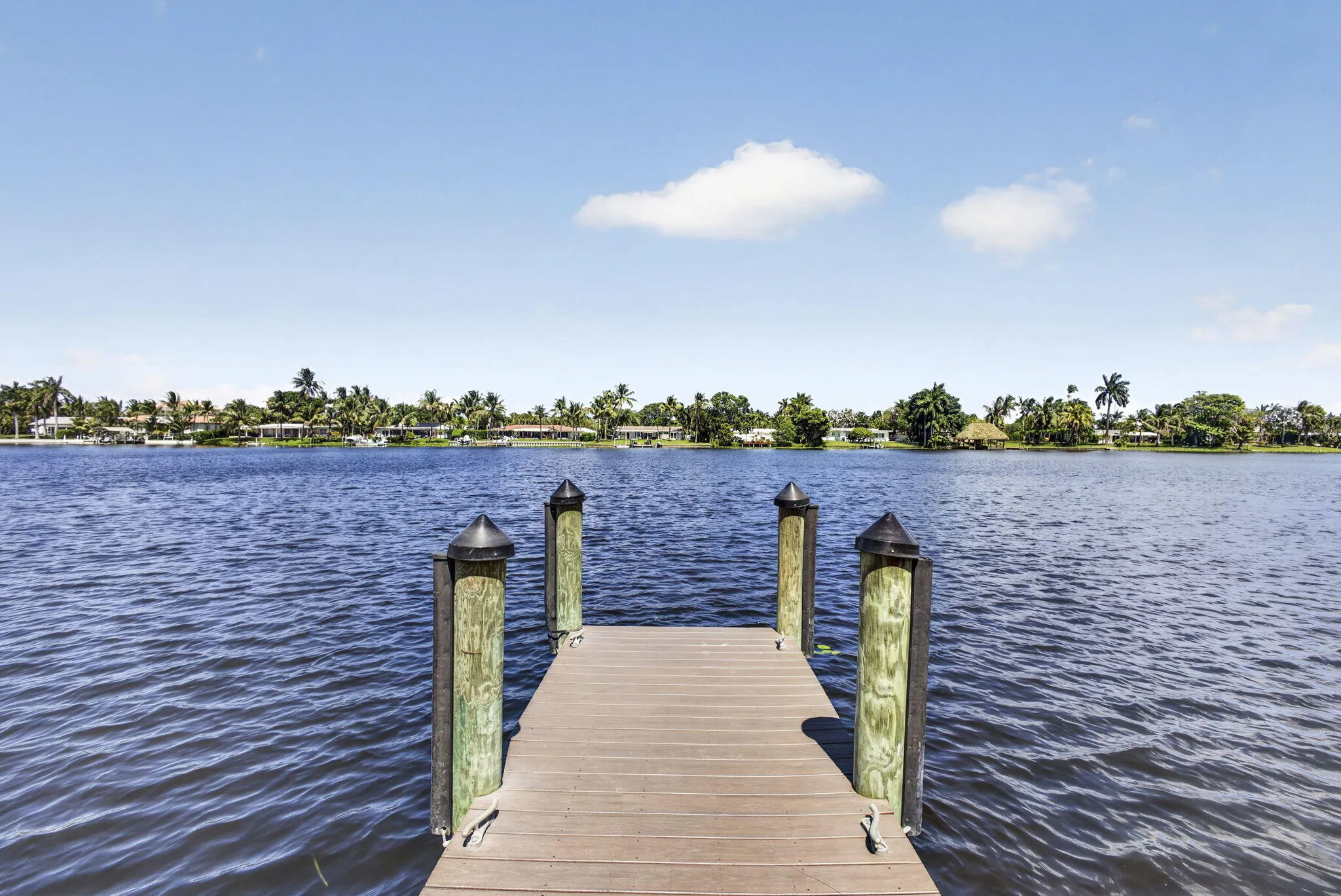 83-web-or-mls-BS1A2197