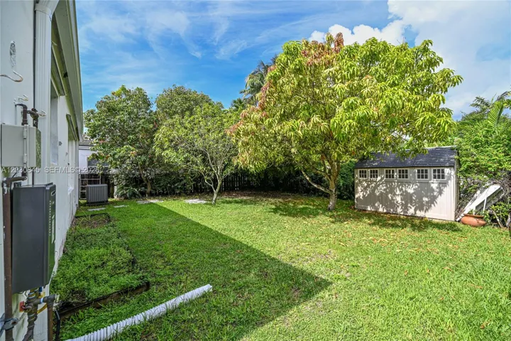Backyard