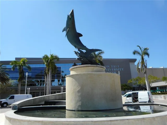 nsu shark