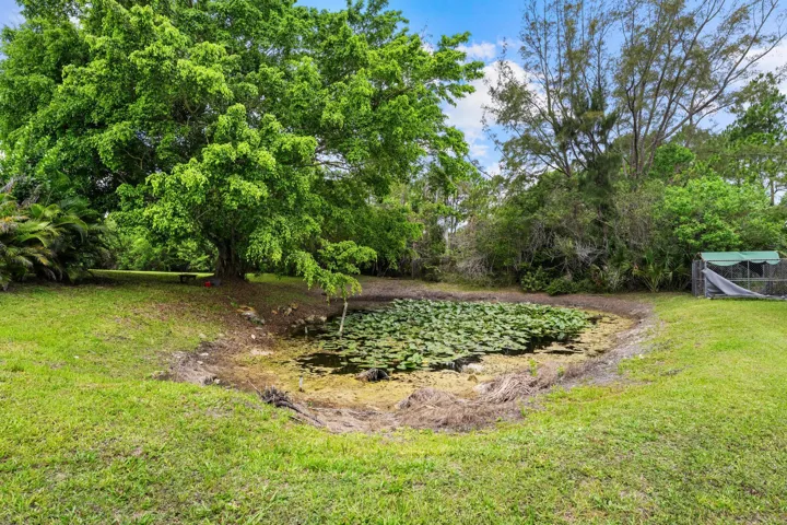 Pond