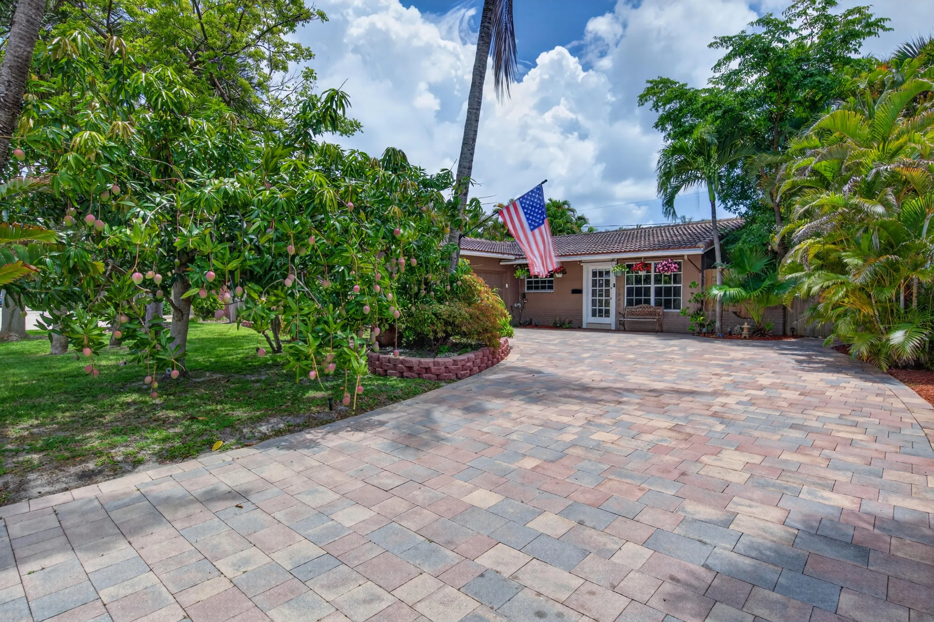 front of home with mango tree