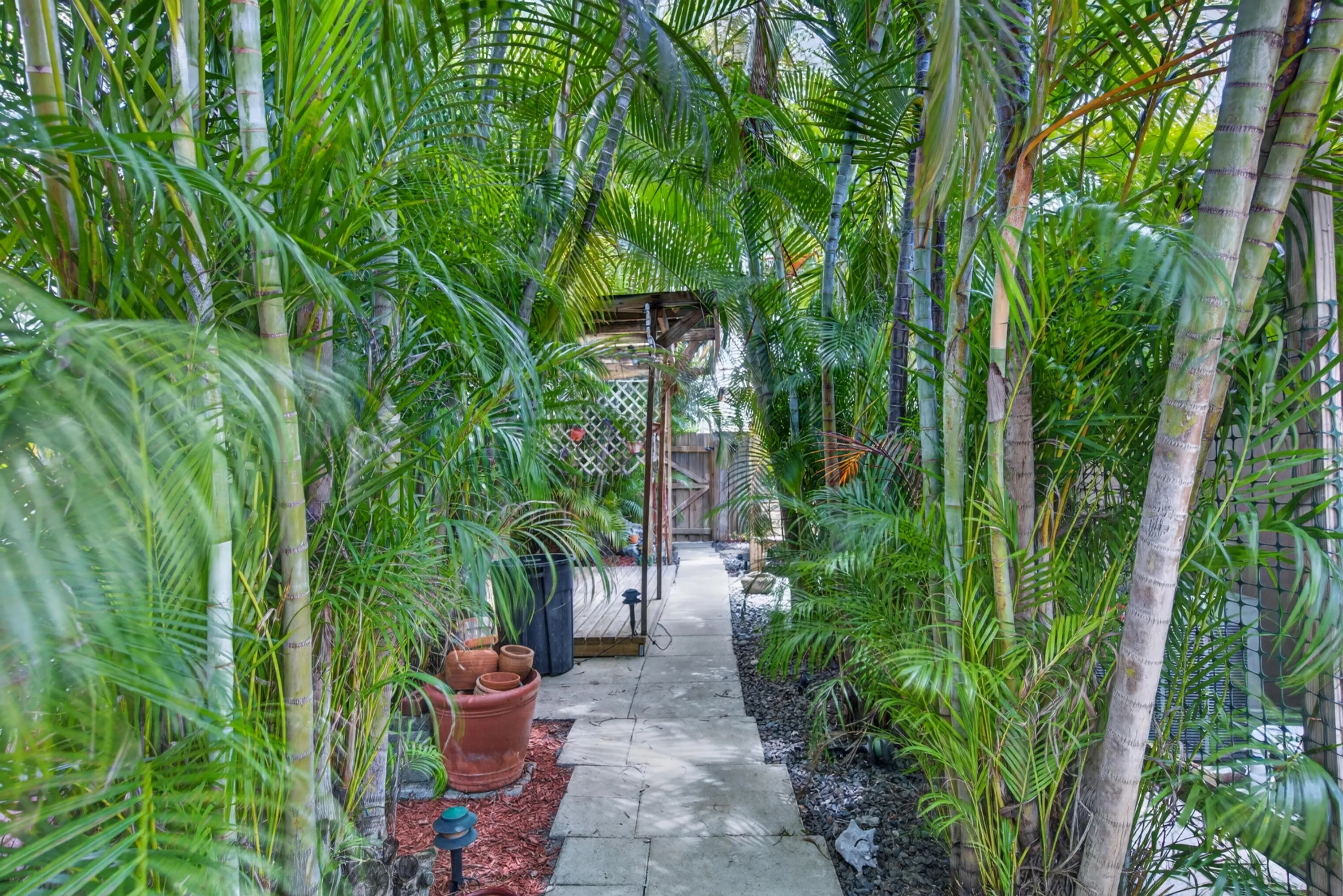 yard - to right of home