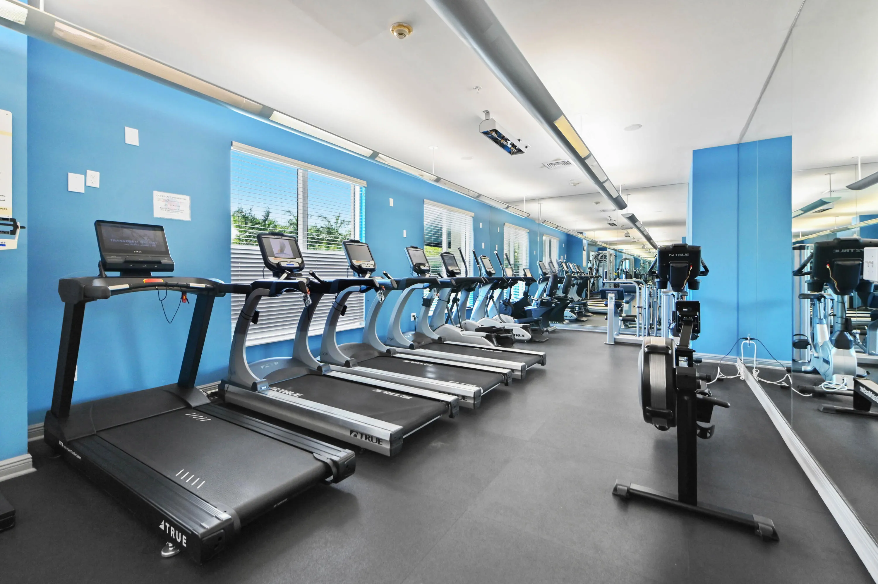 05 gym 01