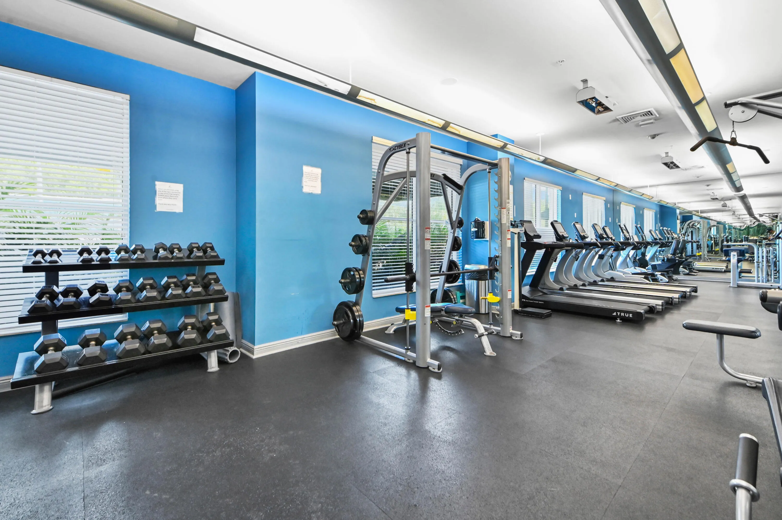 07 gym 03