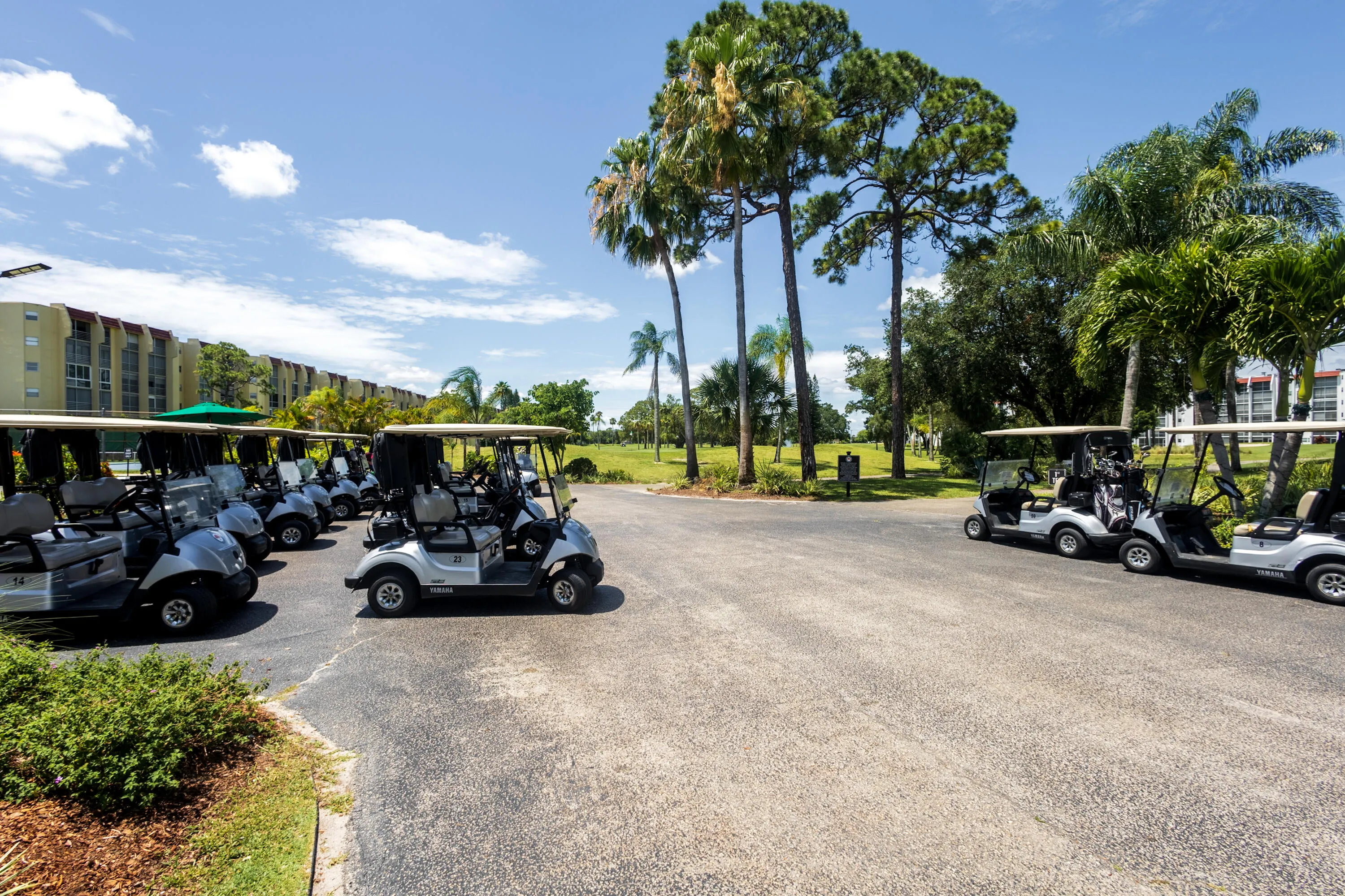 30_golf01