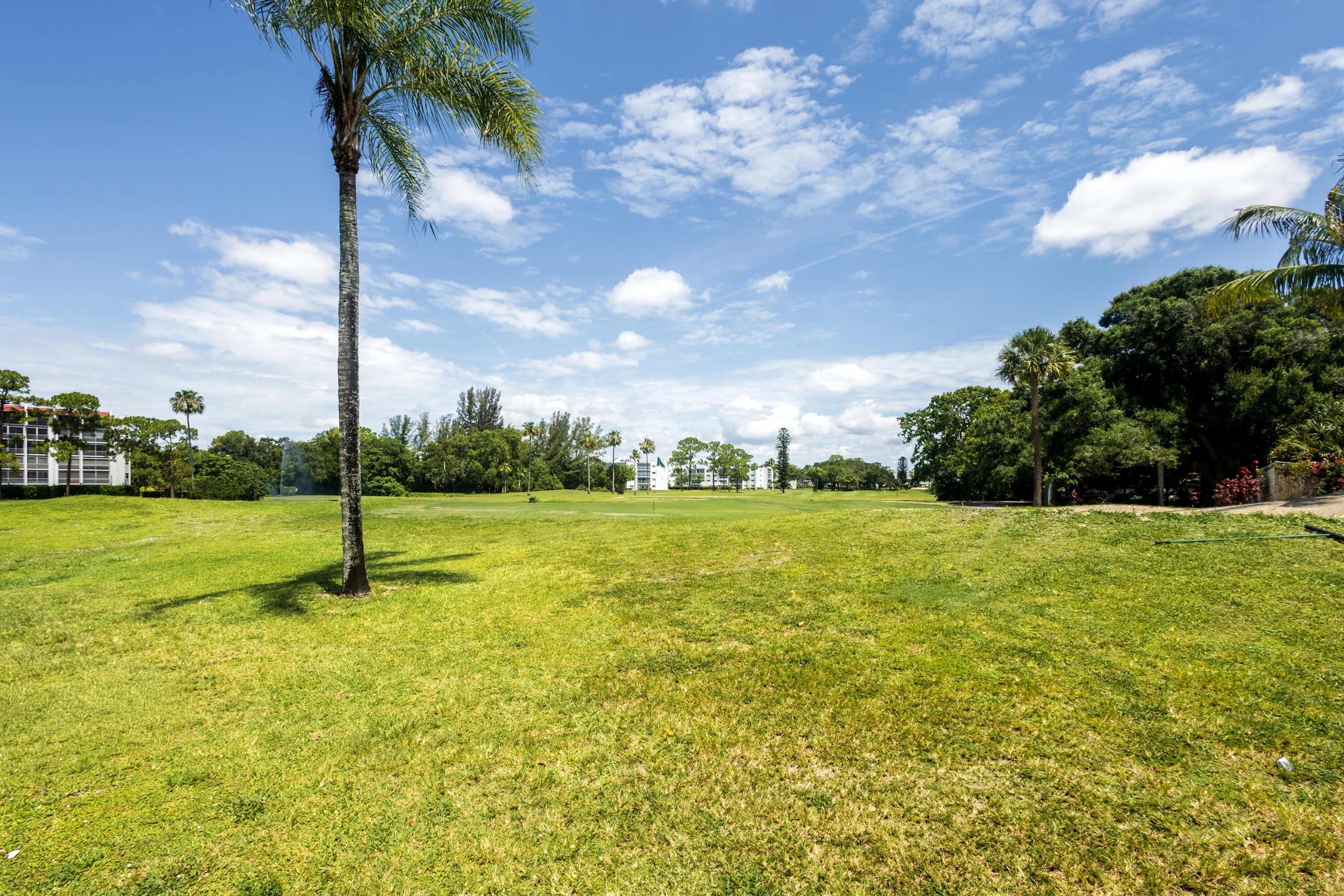 31_golf01