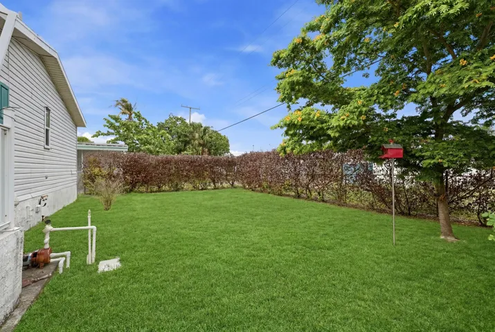 Yard