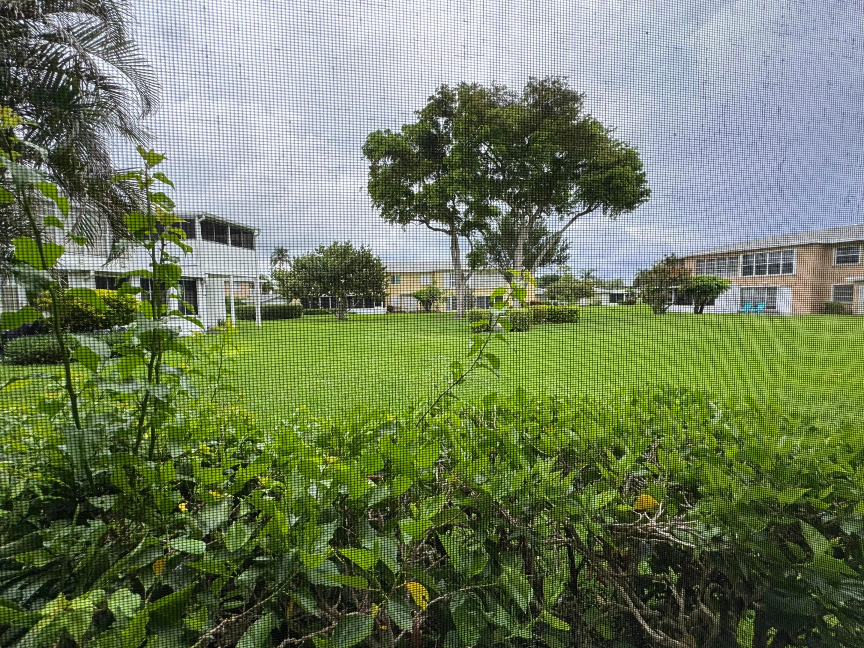 Greenery Views