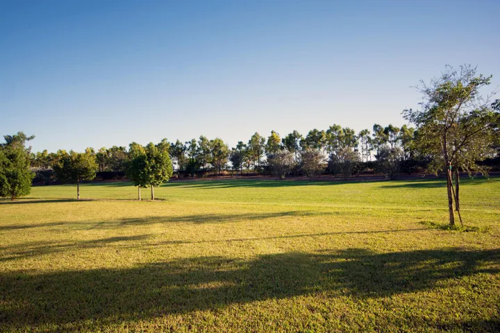 714 Hookline Cir Loxahatchee-large-040-0