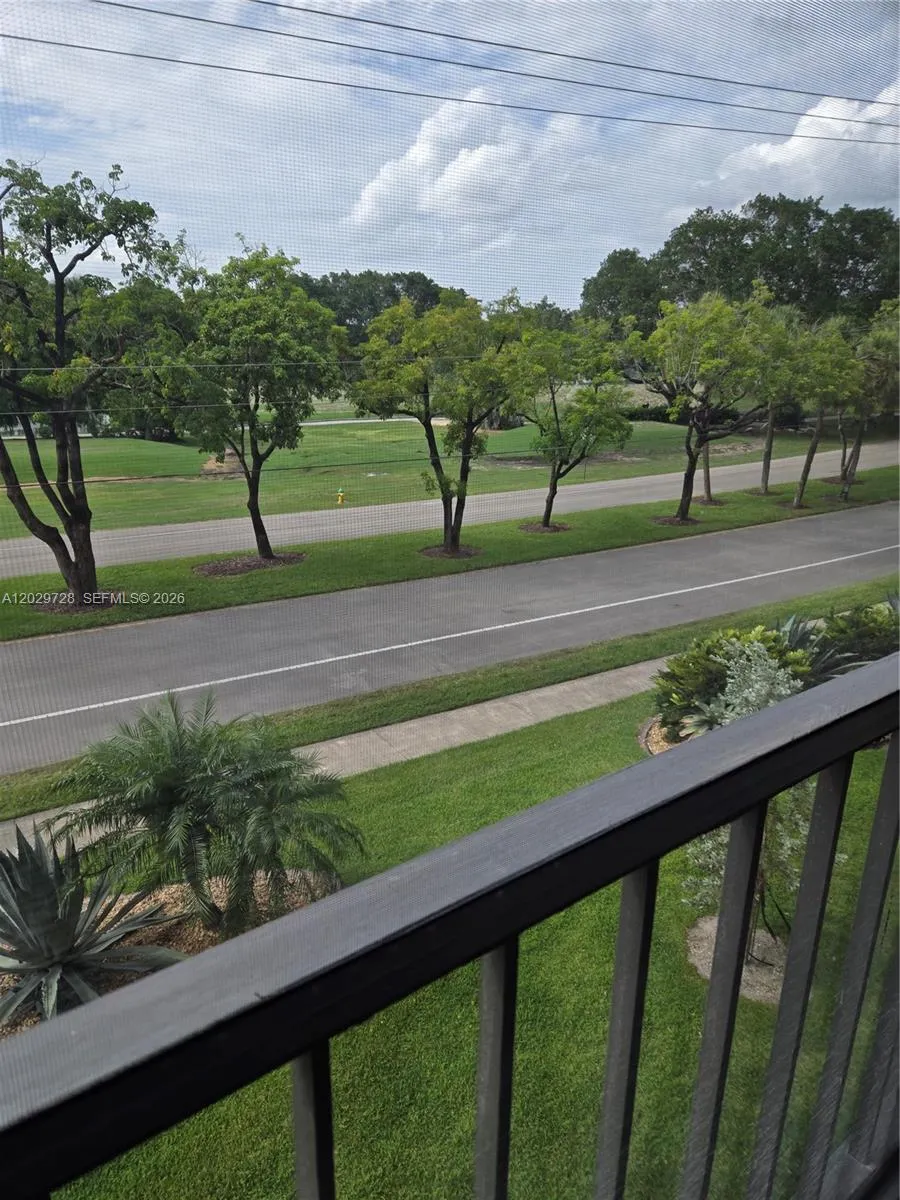 View from Patio