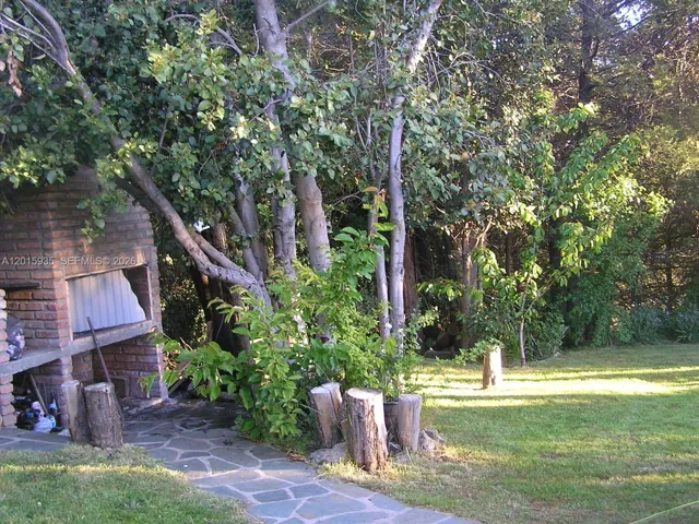 Photo 38