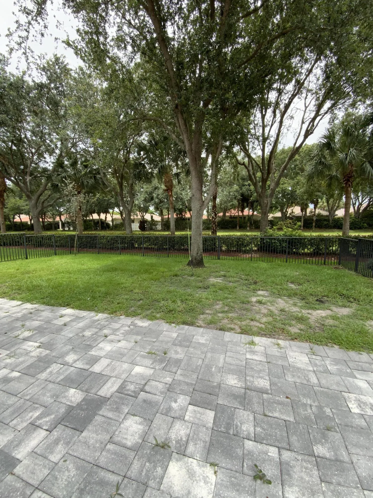 Fenced In Yard