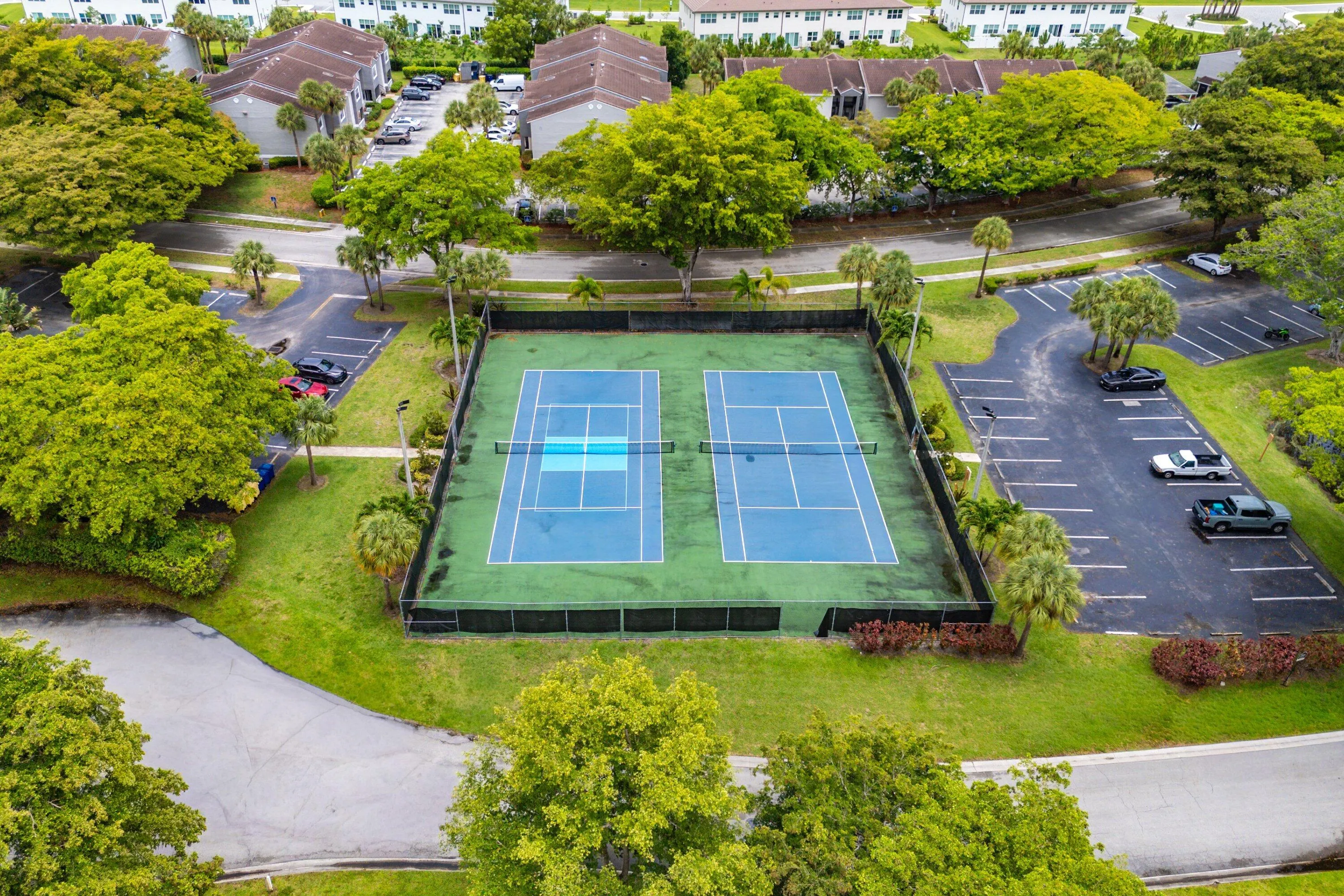 WP tennis