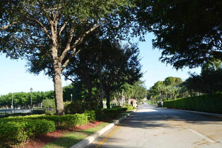 46-web-or-mls-20150902180122391958000000