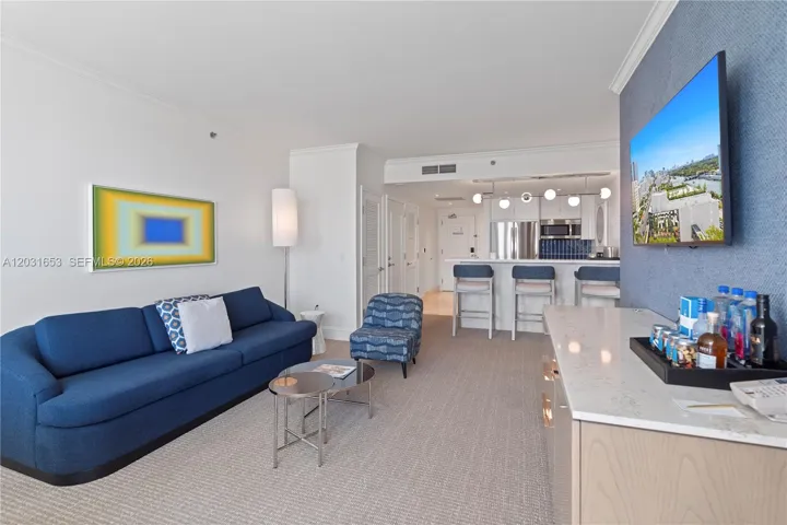 Sleeper sofa/living room