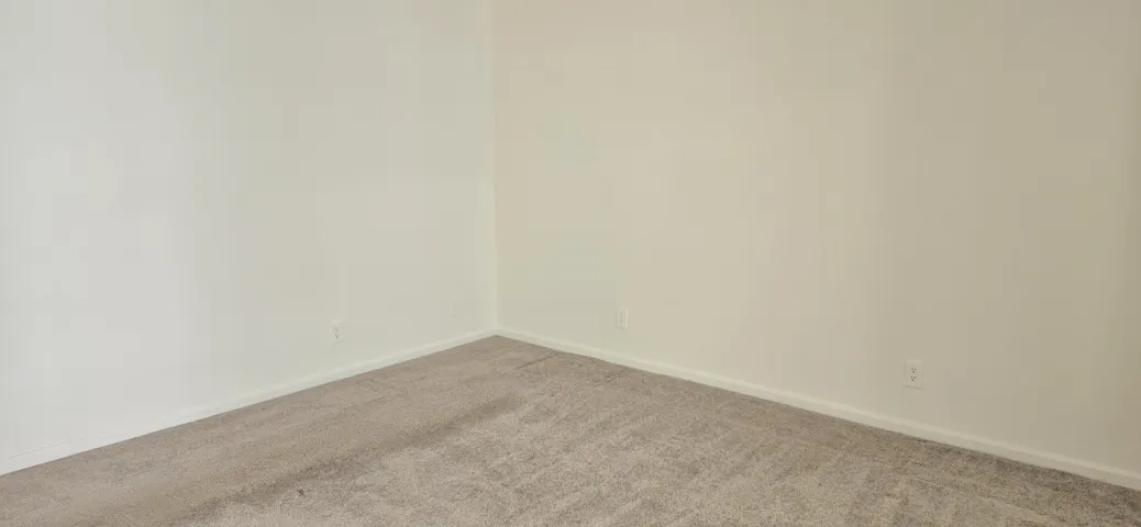 Carpets are freshly cleaned