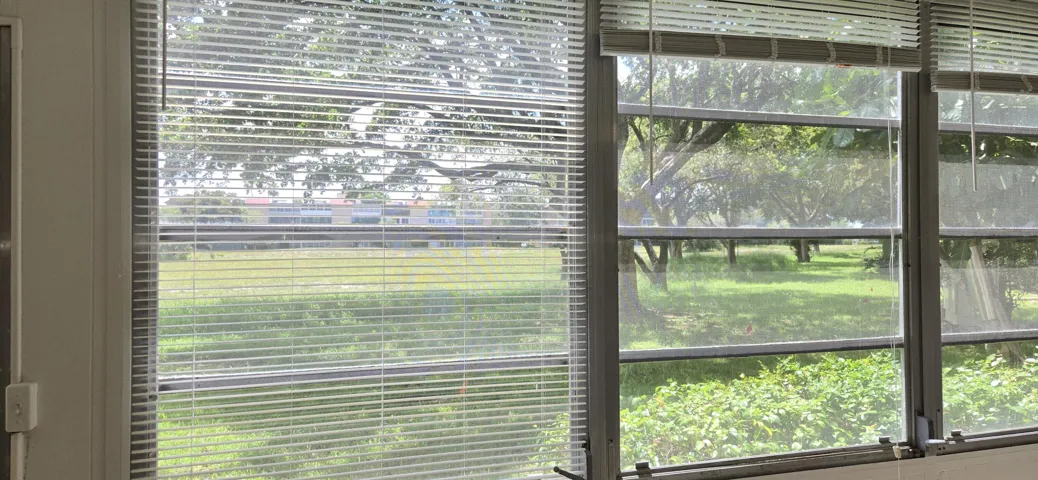 The view from your large screened patio