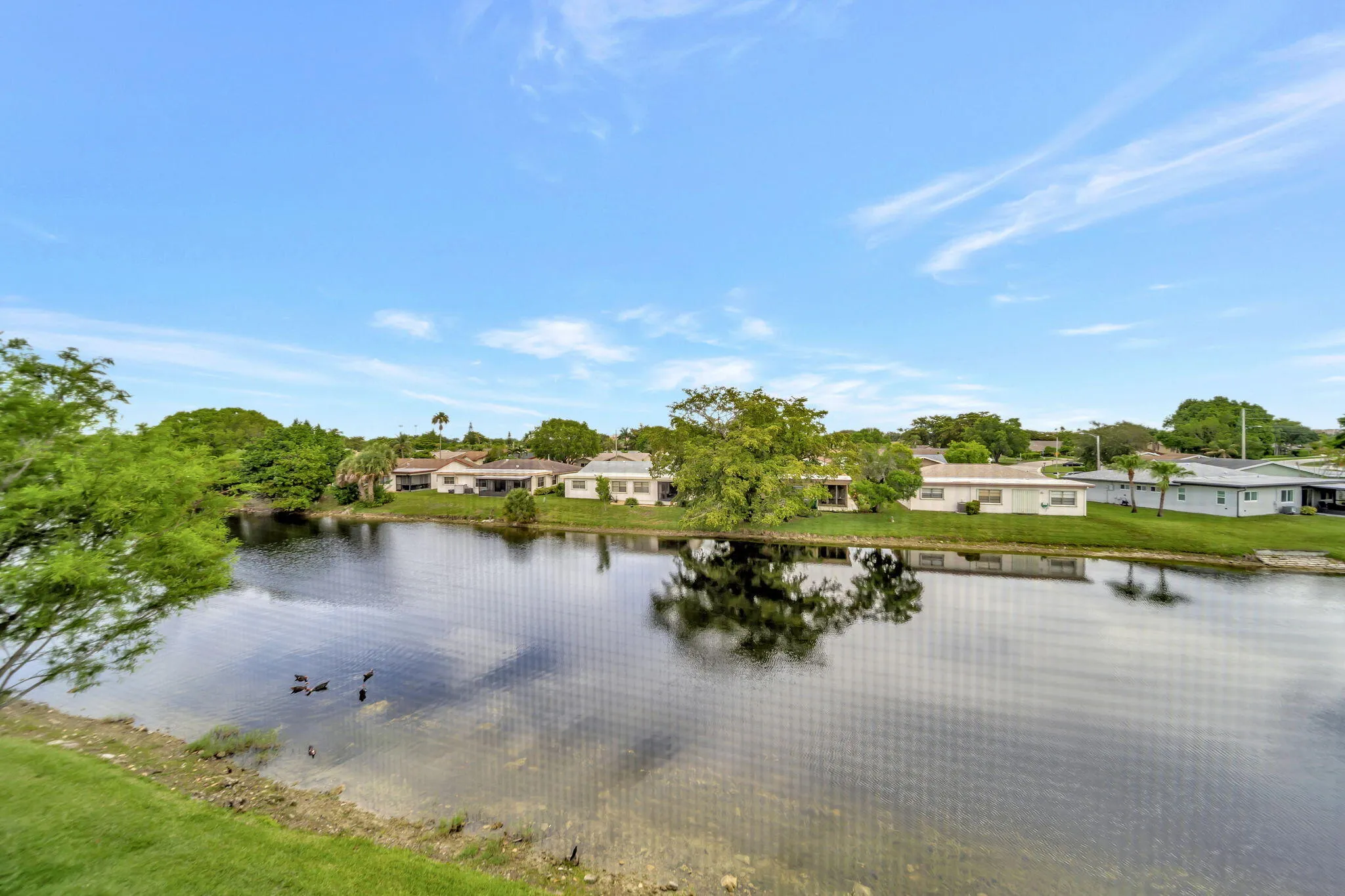 43-web-or-mls-DSC07171