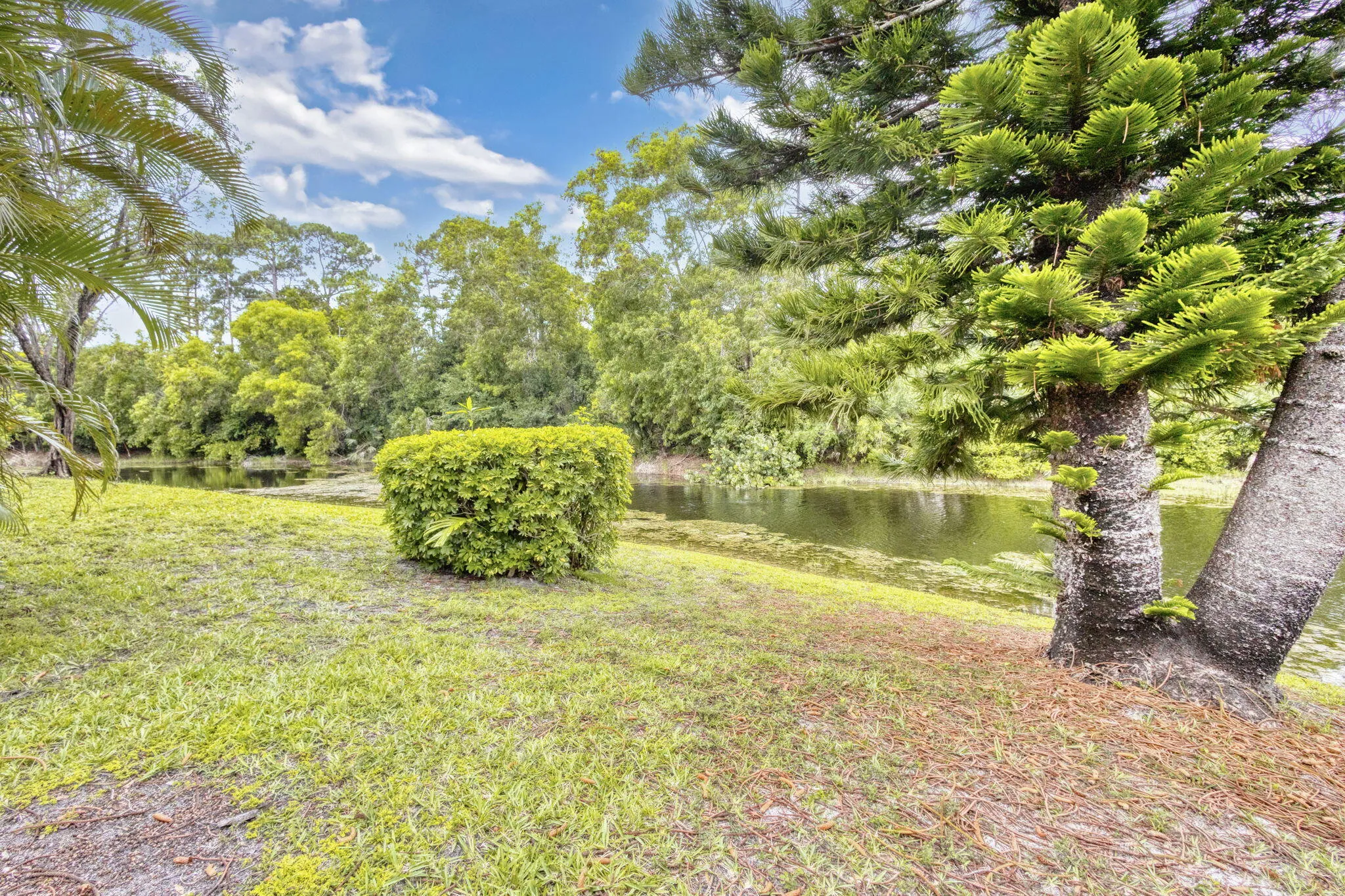 55-web-or-mls-5D1A9264_HDR