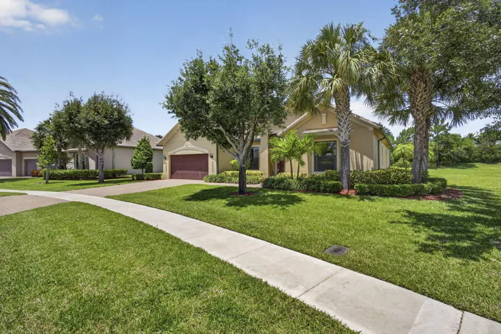5-web-or-mls-BS1A4187