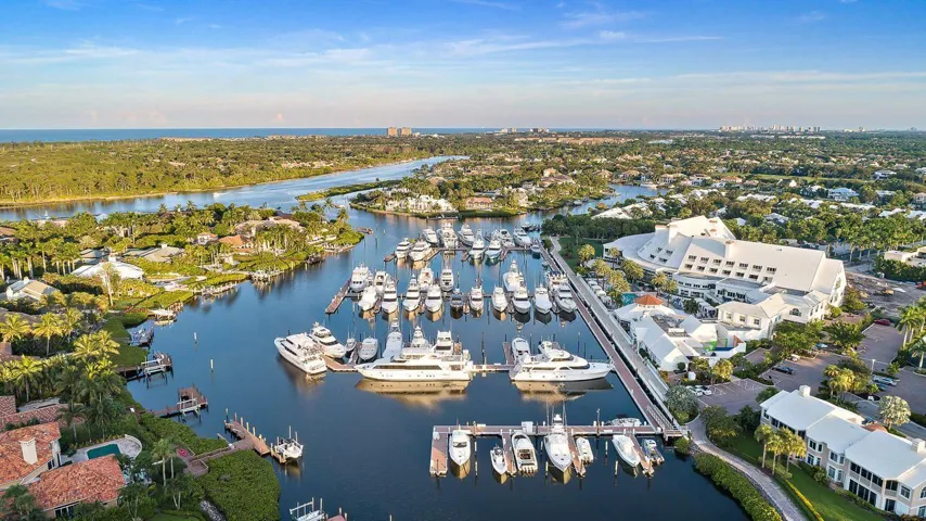 Clubhouse & Marina Aerial