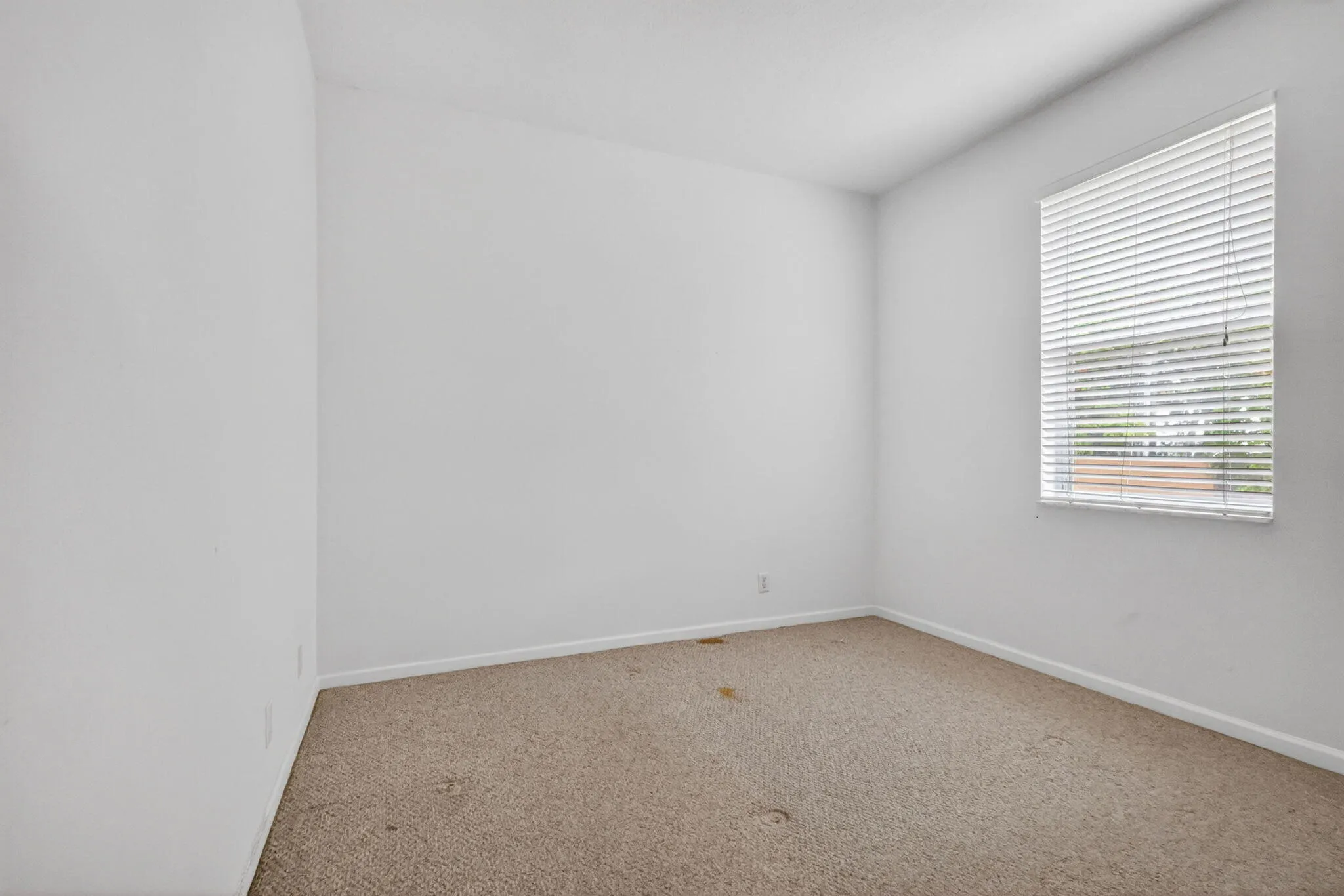 38-web-or-mls-_14A9325