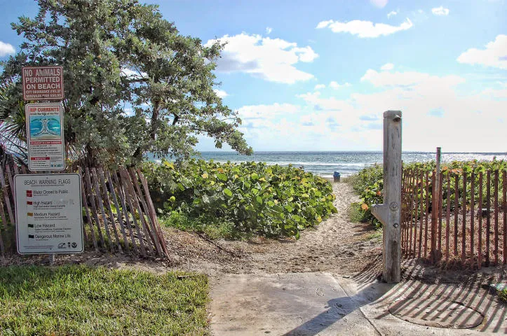 2600mangrove