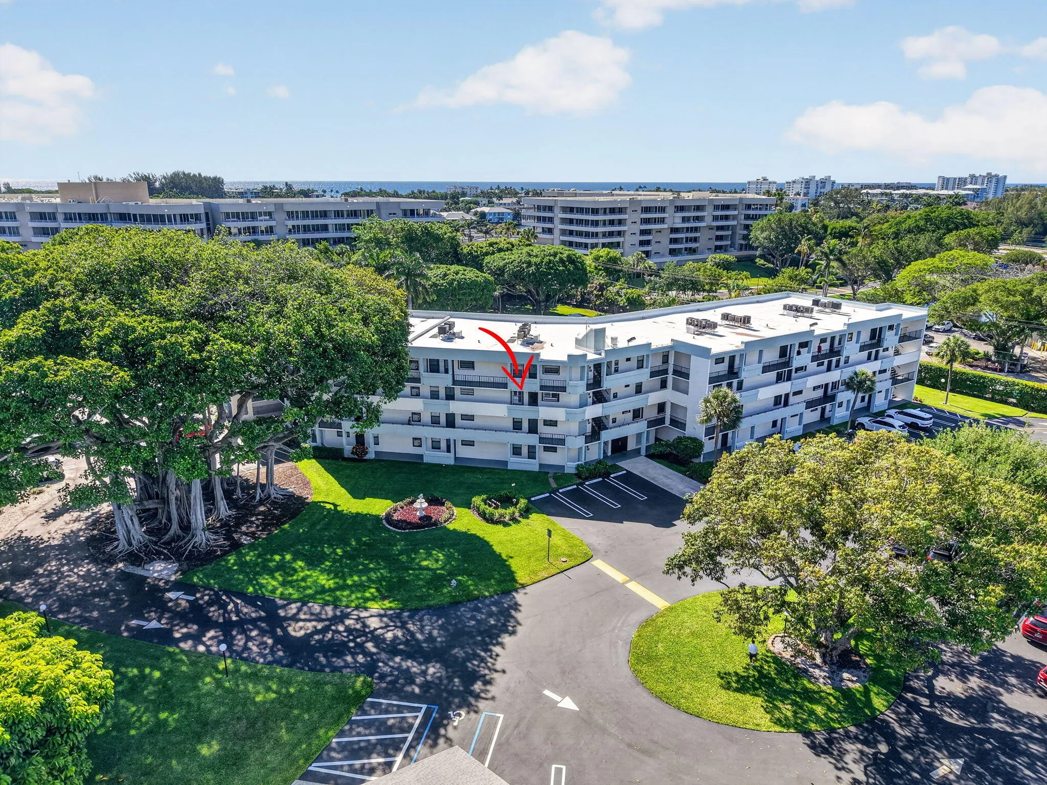 Banyan Tree