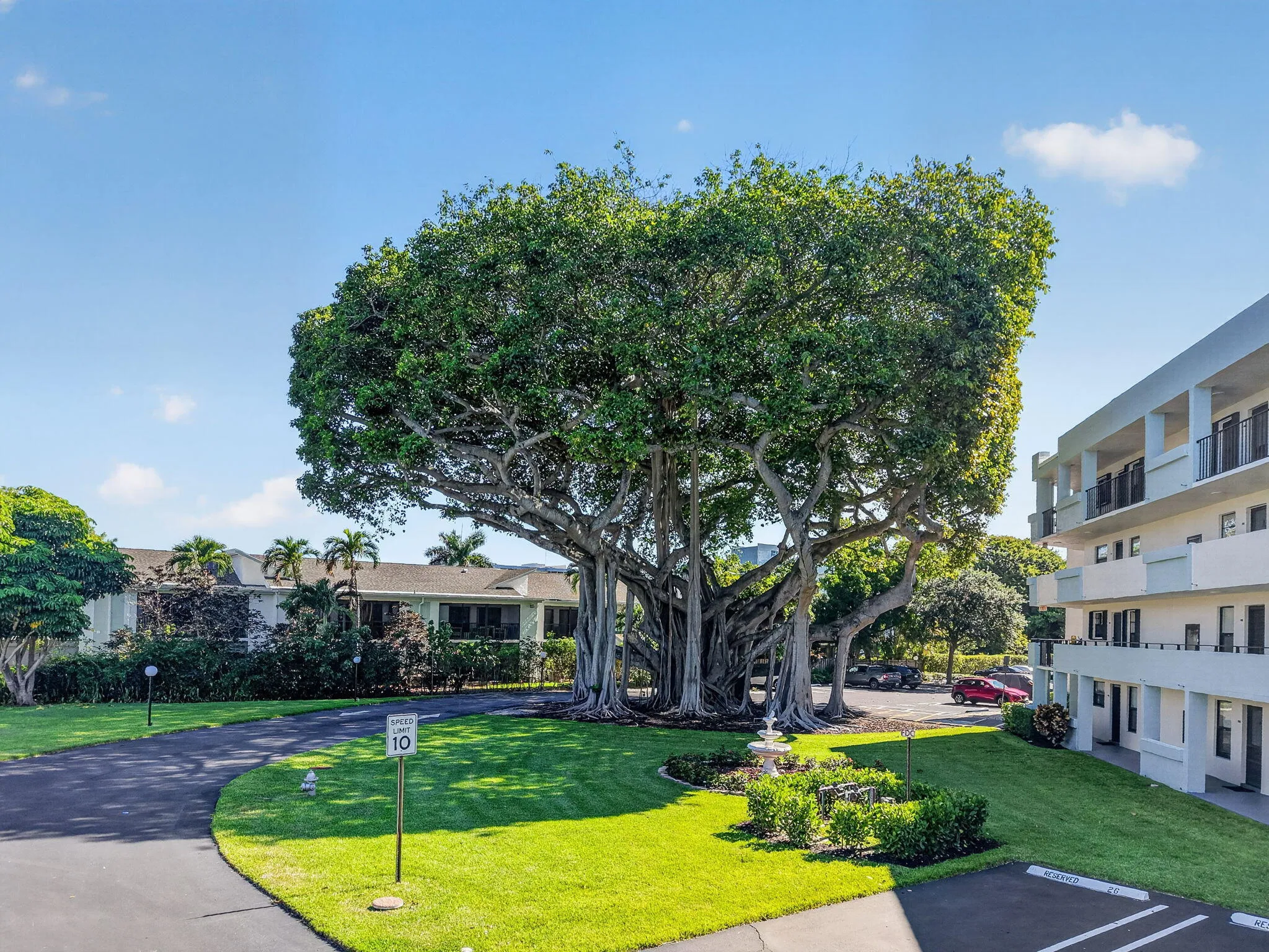 555 Banyan Tree 307- Freshly Painted