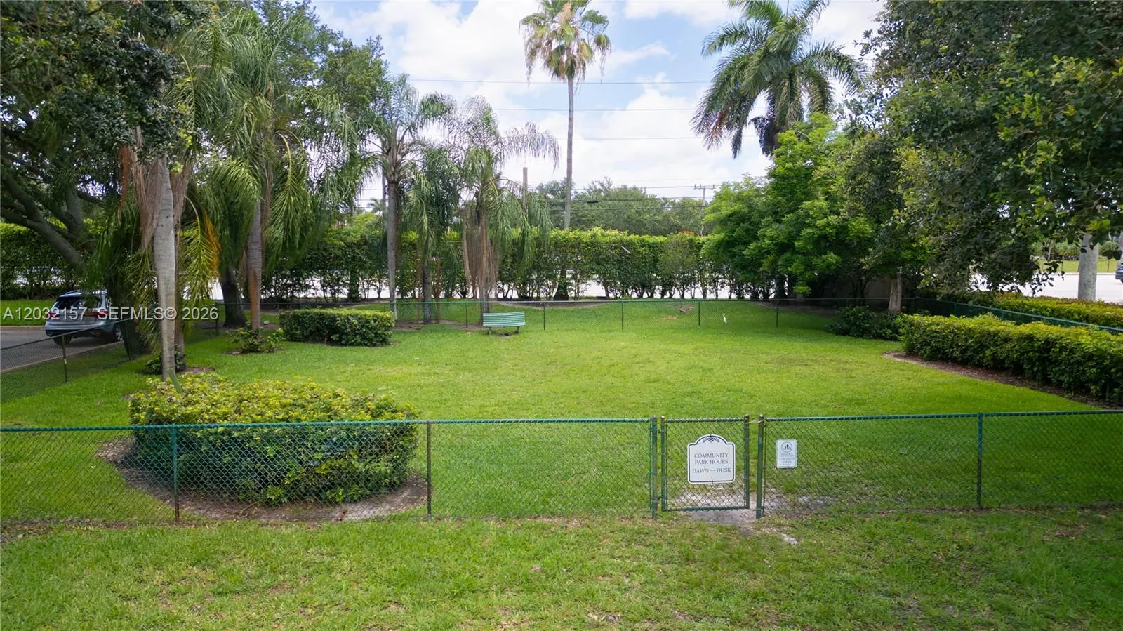 Dog Park