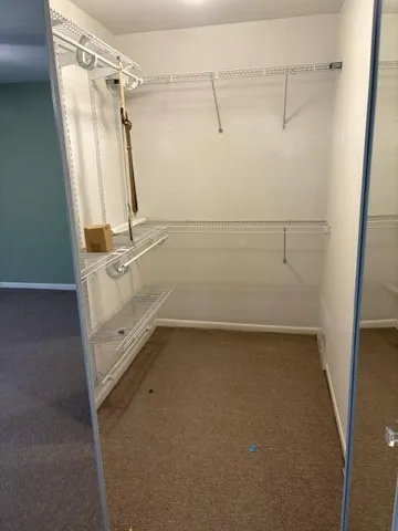 Primary Closet