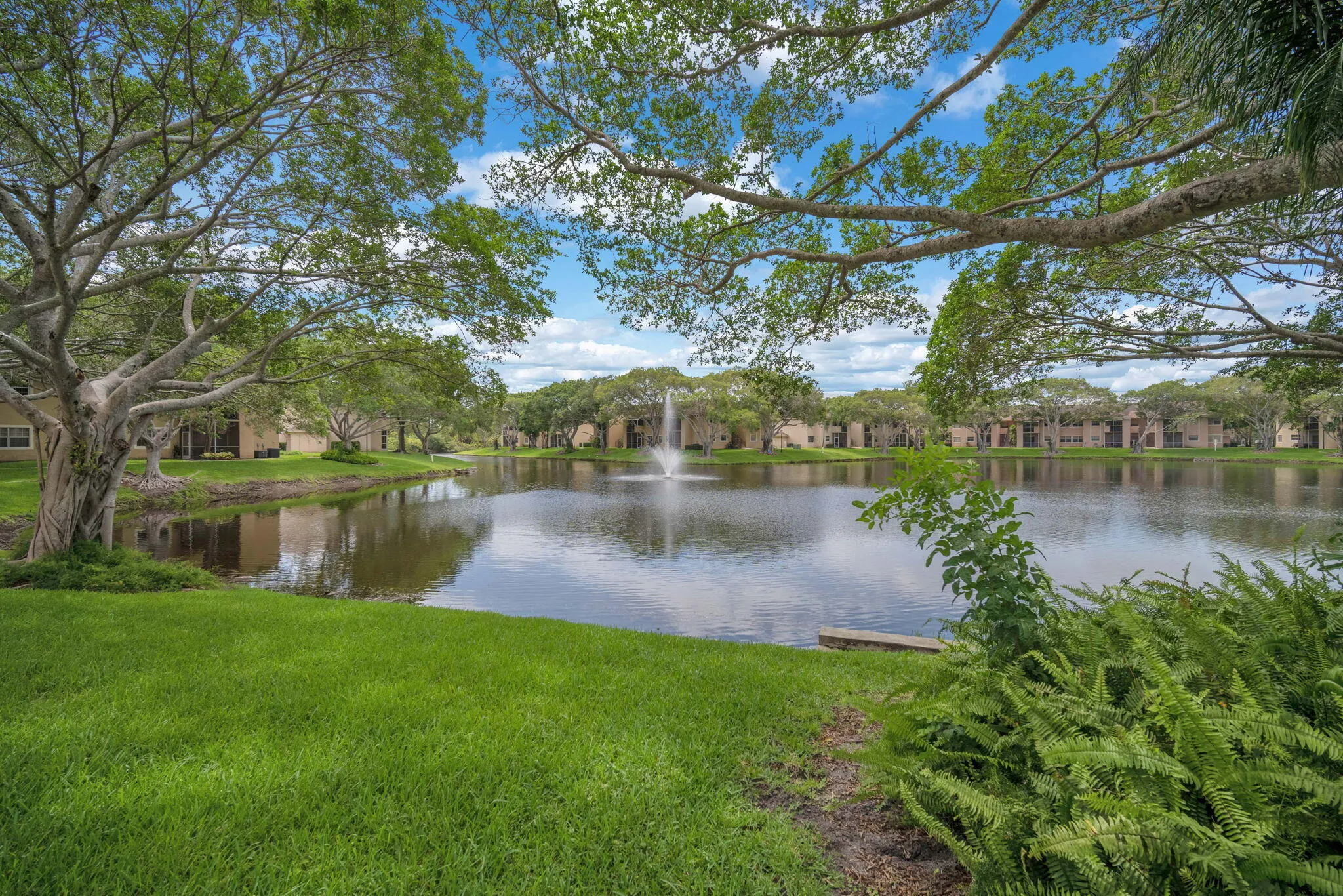 40-web-or-mls-DSC09992
