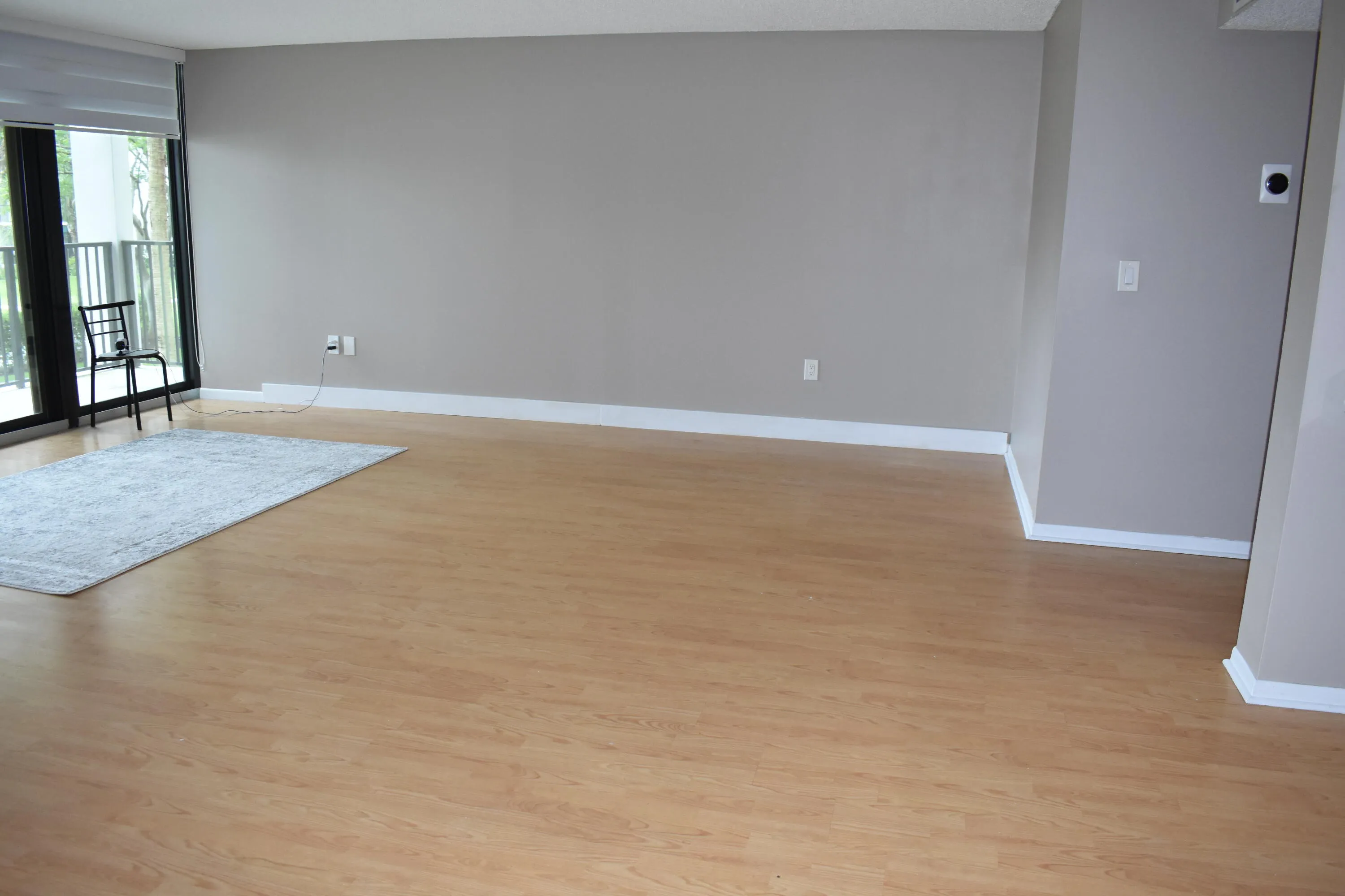 Large living room