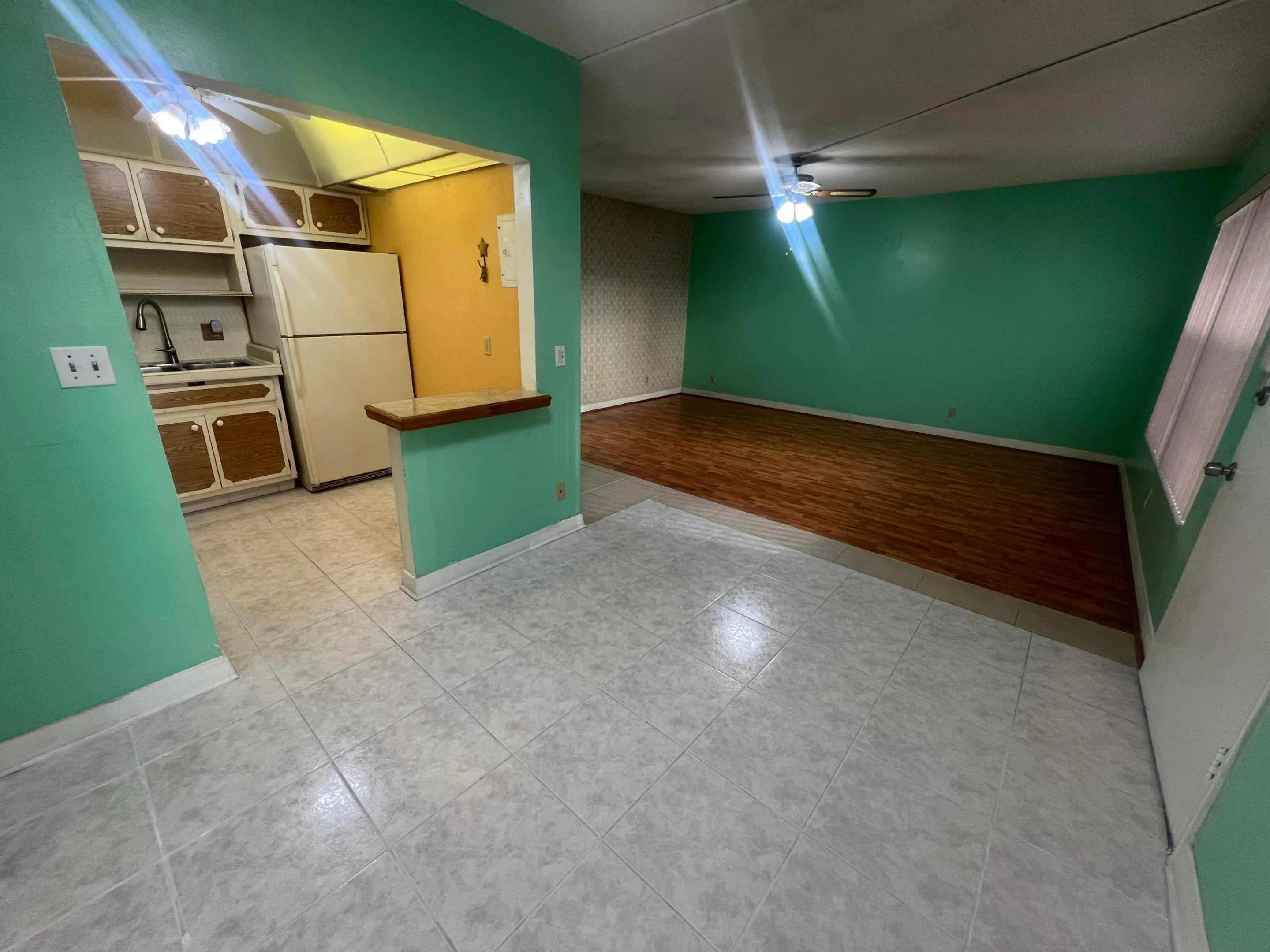 IMG_0608