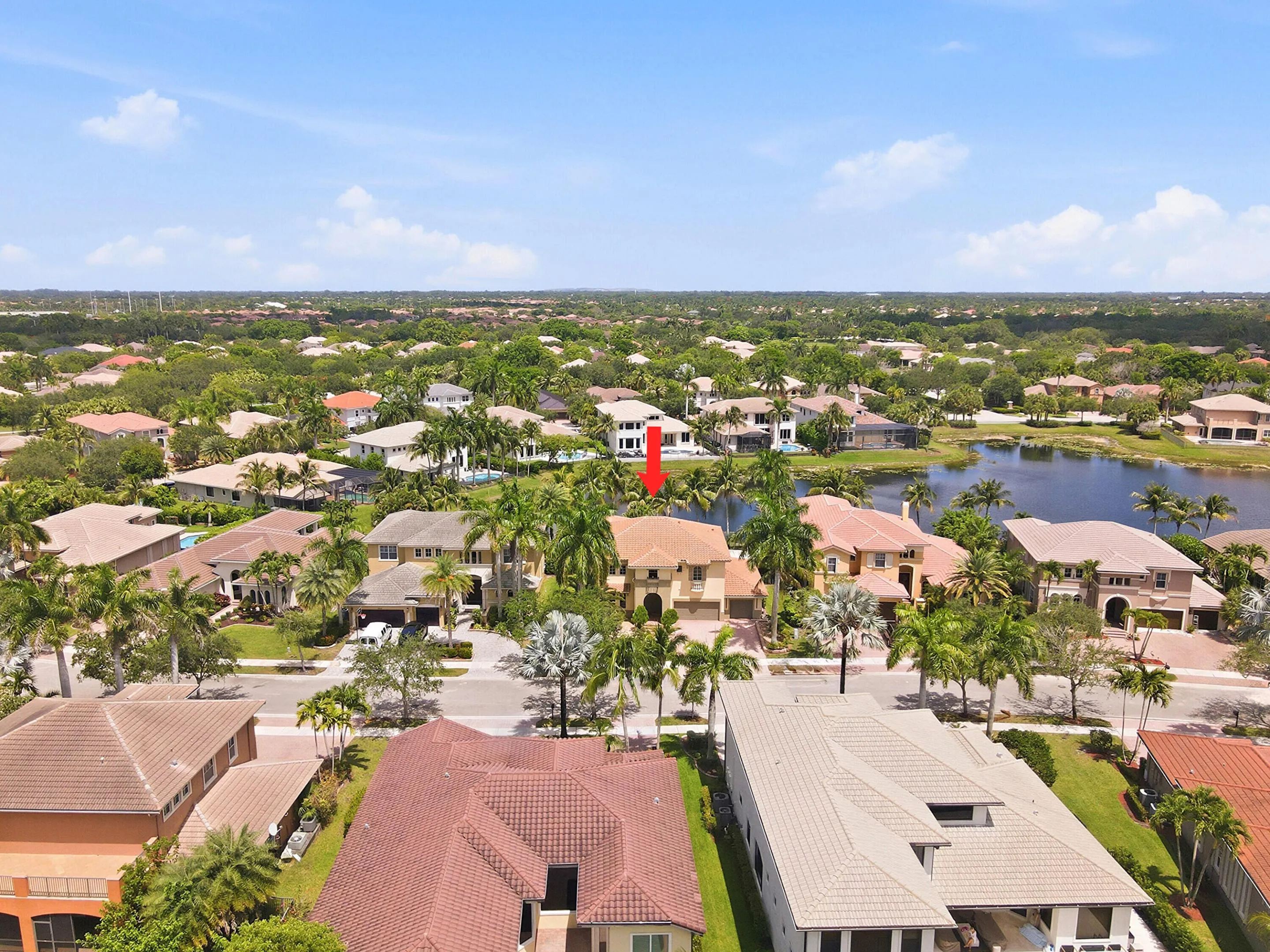 50_03_dji_fly_20260611_144628_468_178120