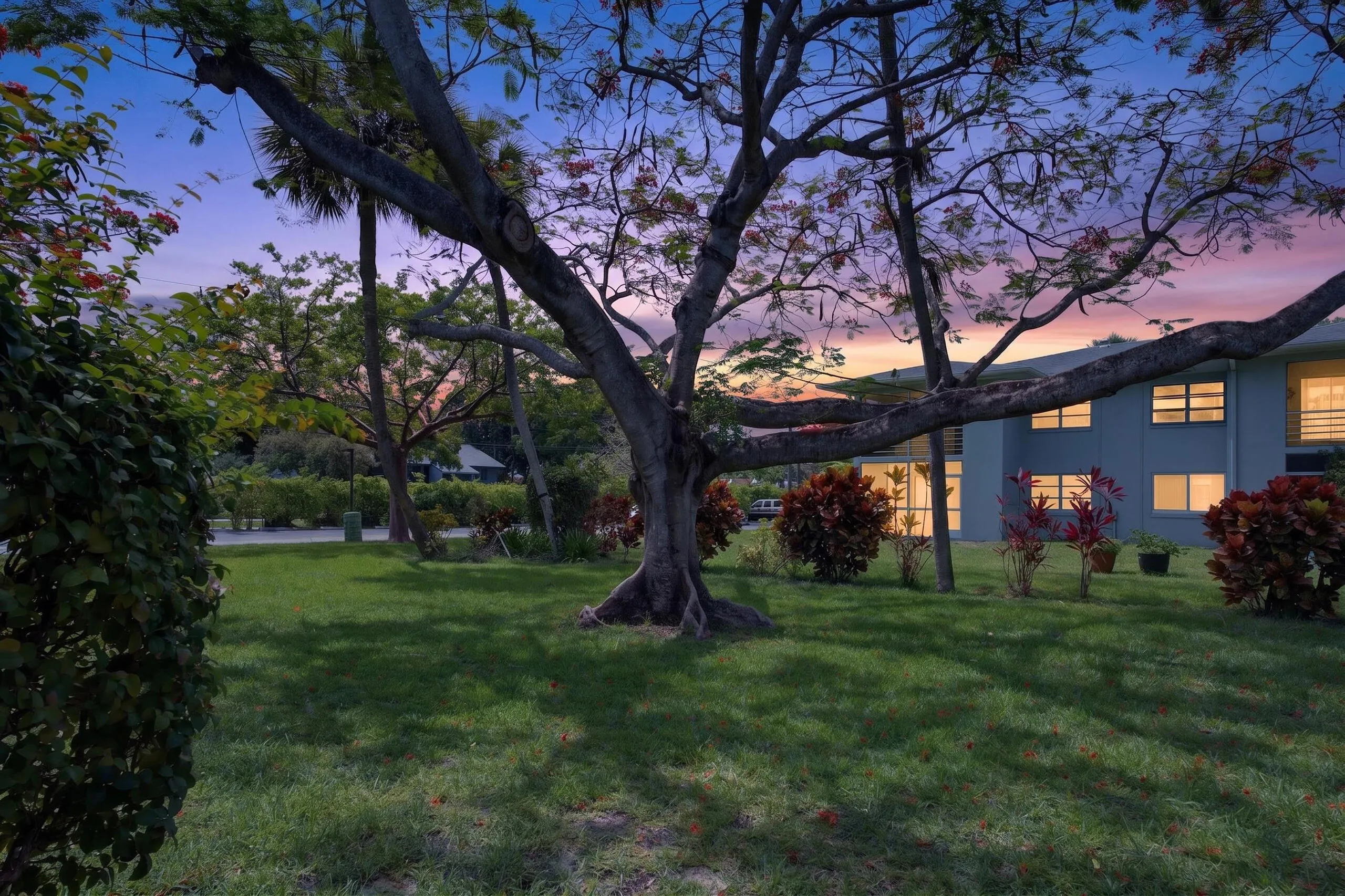 Welcome Home!