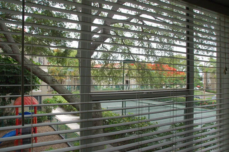 View from Living Room